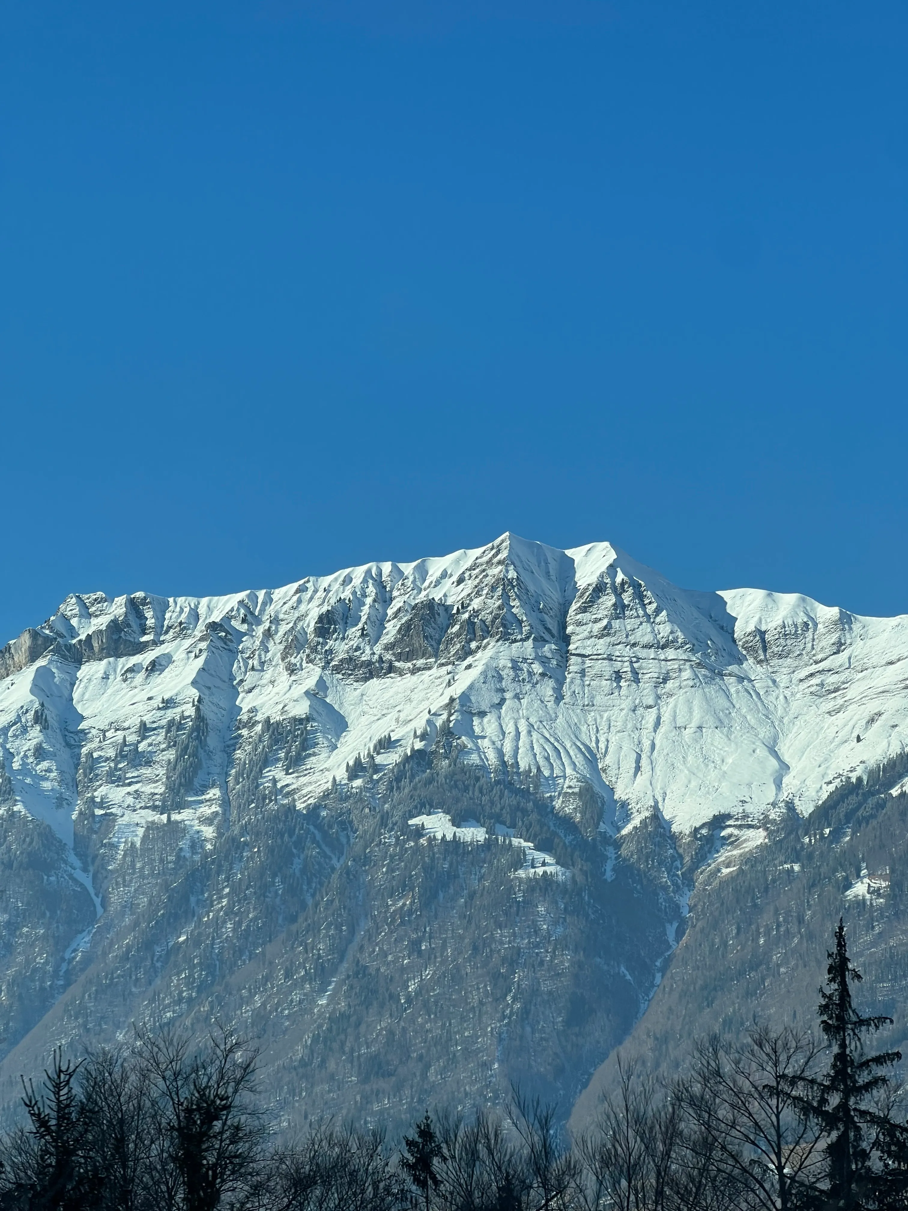 Views to interlaken