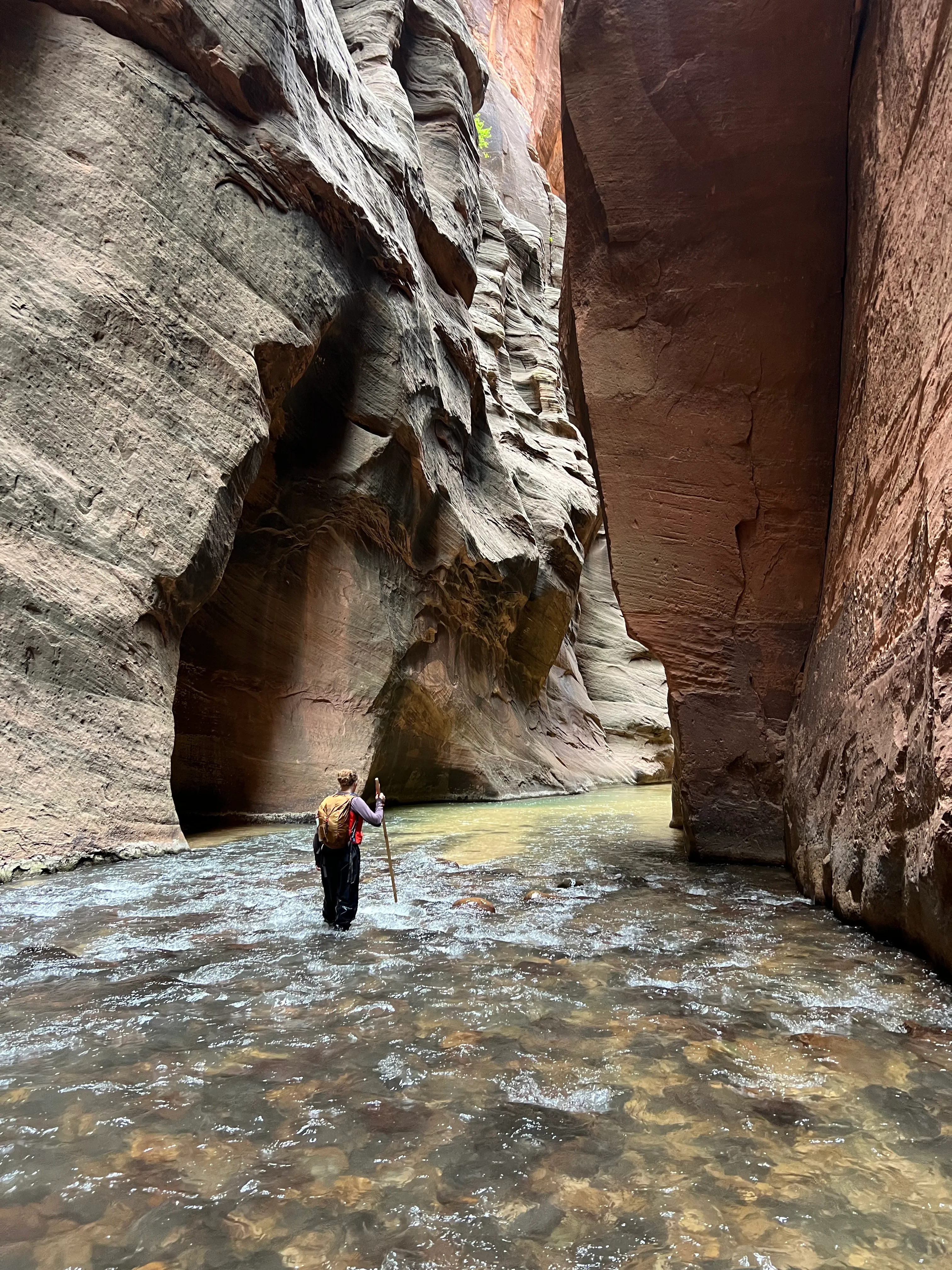 Wife in the Narrows